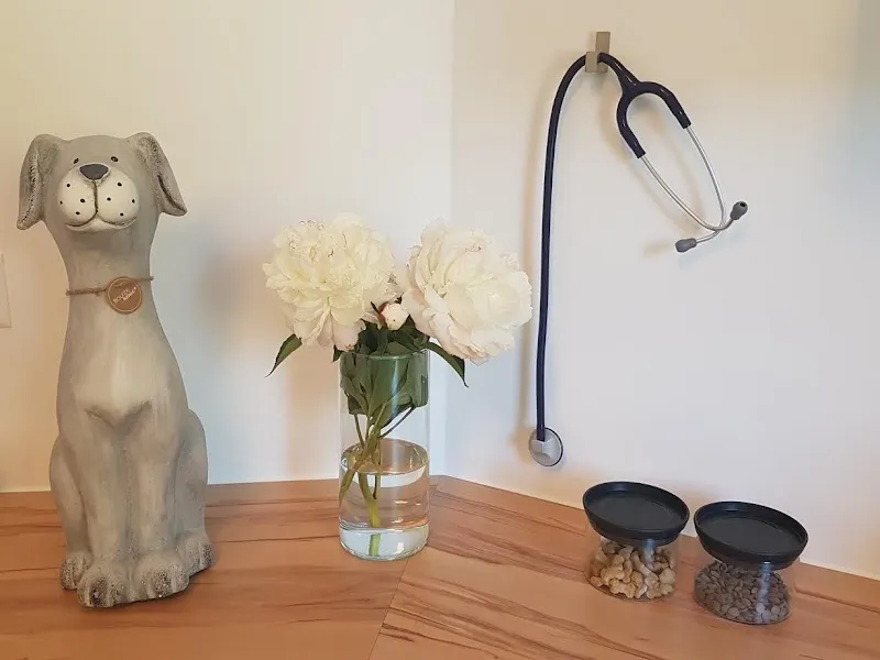 Cabinet vétérinaire Équilibre Sàrl — Tierarzt, Yverdon-les-Bains, Waadt. Foto 2