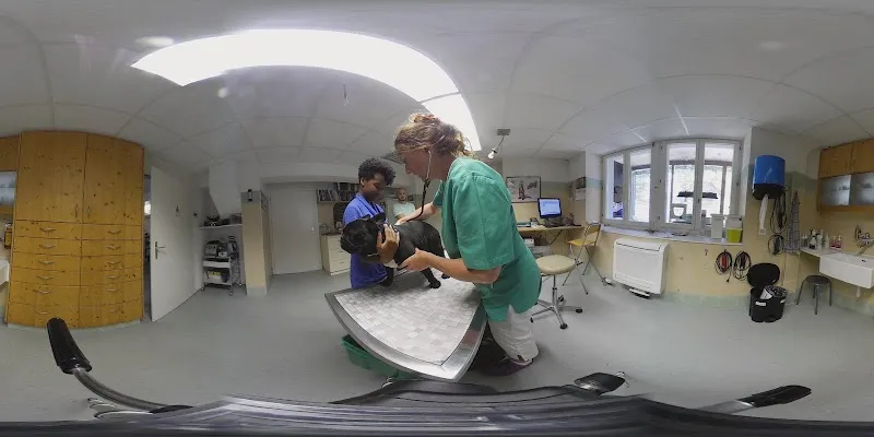 Cabinet vétérinaire. Consultations pour petits animaux chiens, chats, NAC. Morges — Tierarzt, Echichens, Waadt. Foto 2