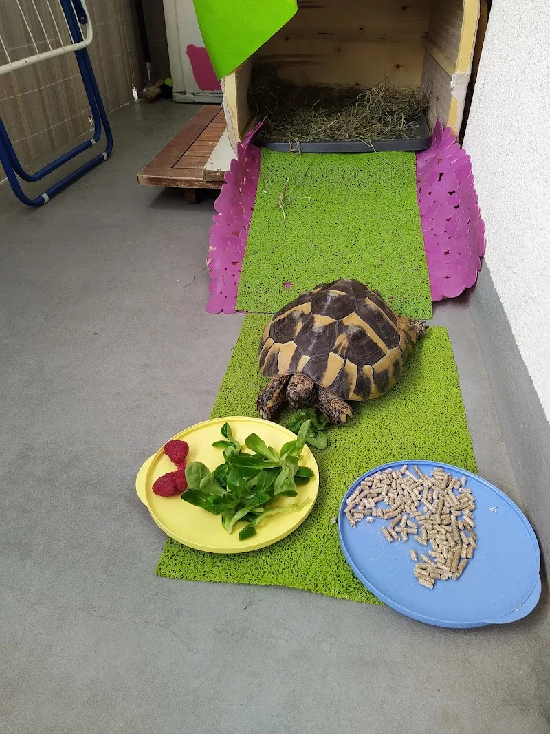 CityVet Cabinet Vétérinaire — Vétérinaire, Prilly, Vaud. Foto 3