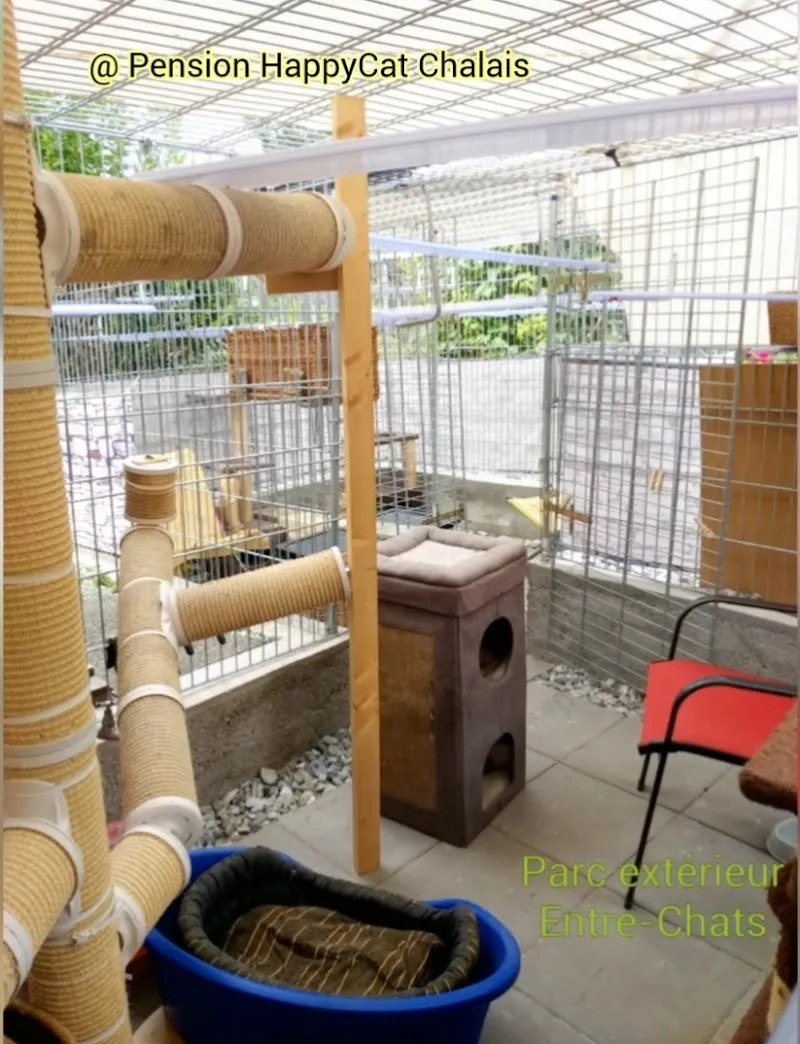 Pension HappyCat - Chalais — Katzenpension in Chalais, Wallis. Bewertung 5.0/5.