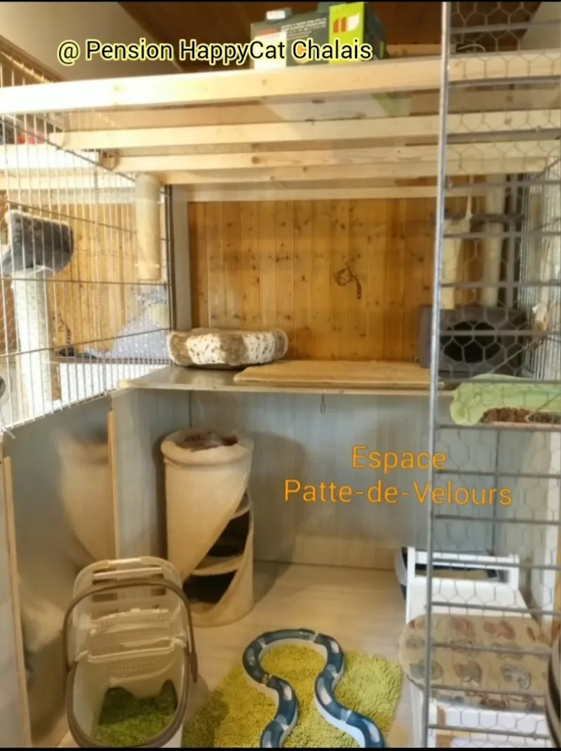 Pension HappyCat - Chalais — Katzenpension, Chalais, Wallis. Foto 2