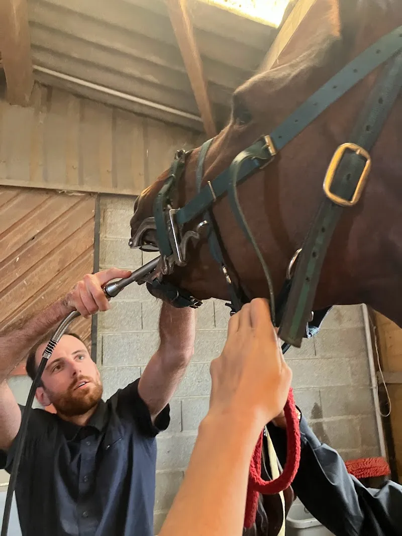 Dr Kim Herdly Vétérinaire équin / à domicile Vaud, Genève, France — Tierarzt, Commugny, Waadt. Foto 3