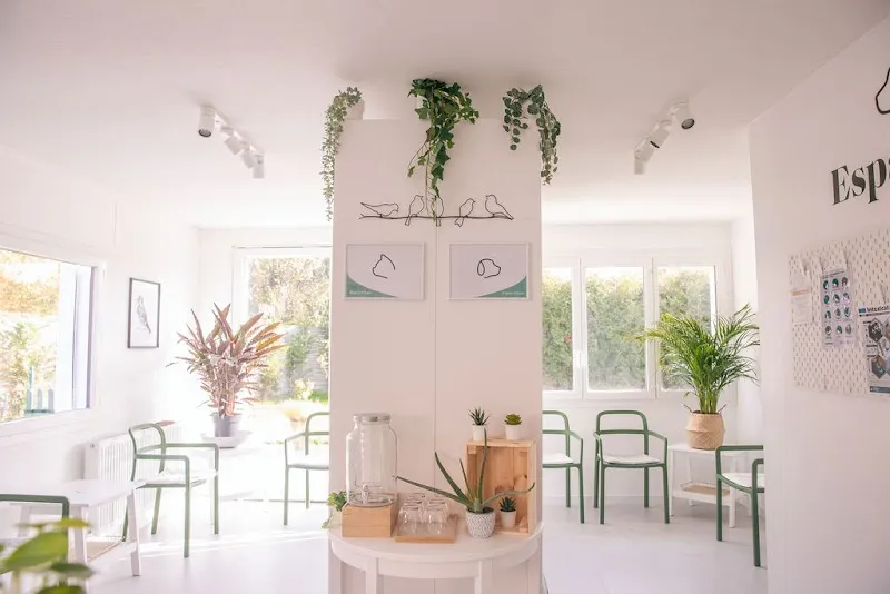 Dr méd. vét Chantal Brunner Cabinet Vétérinaire Espace Vet — Tierarzt in Rennaz, Waadt. Bewertung 4.8/5.