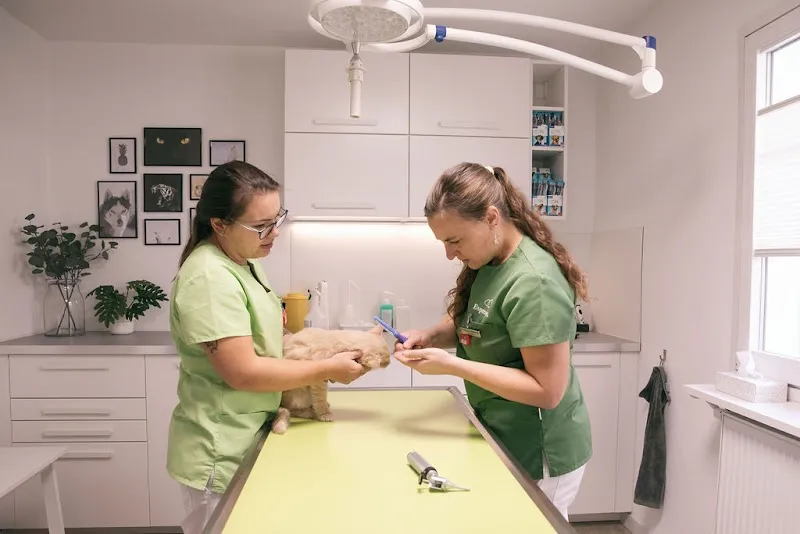 Dr méd. vét Chantal Brunner Cabinet Vétérinaire Espace Vet — Tierarzt, Rennaz, Waadt. Foto 3