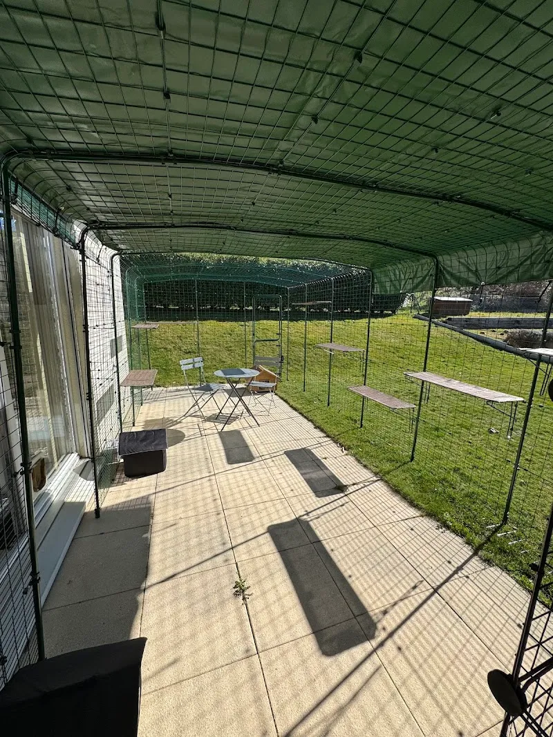 Pension Paka — Pension pour chats, Romanel-sur-Lausanne, Vaud. Foto 2