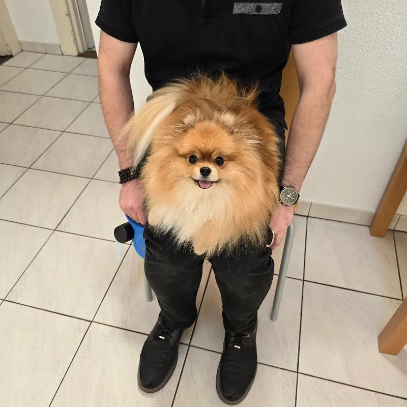 Dr méd. vét. Schmid Natacha — Vétérinaire, Montreux, Vaud. Foto 2