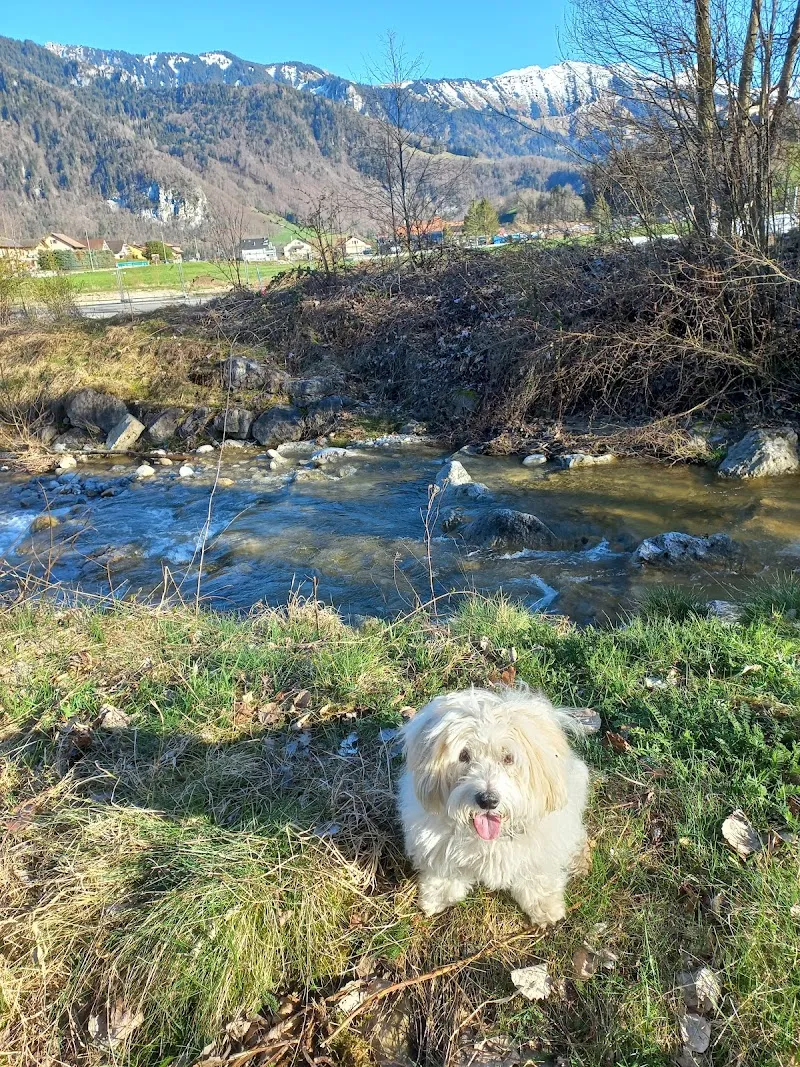 Dr.Med.Vet Alexandra Durrer et Dr.Med.Vet Vanessa Mufalle cabinet vétérinaire VetPhalen — Tierarzt, Vevey, Waadt. Foto 3