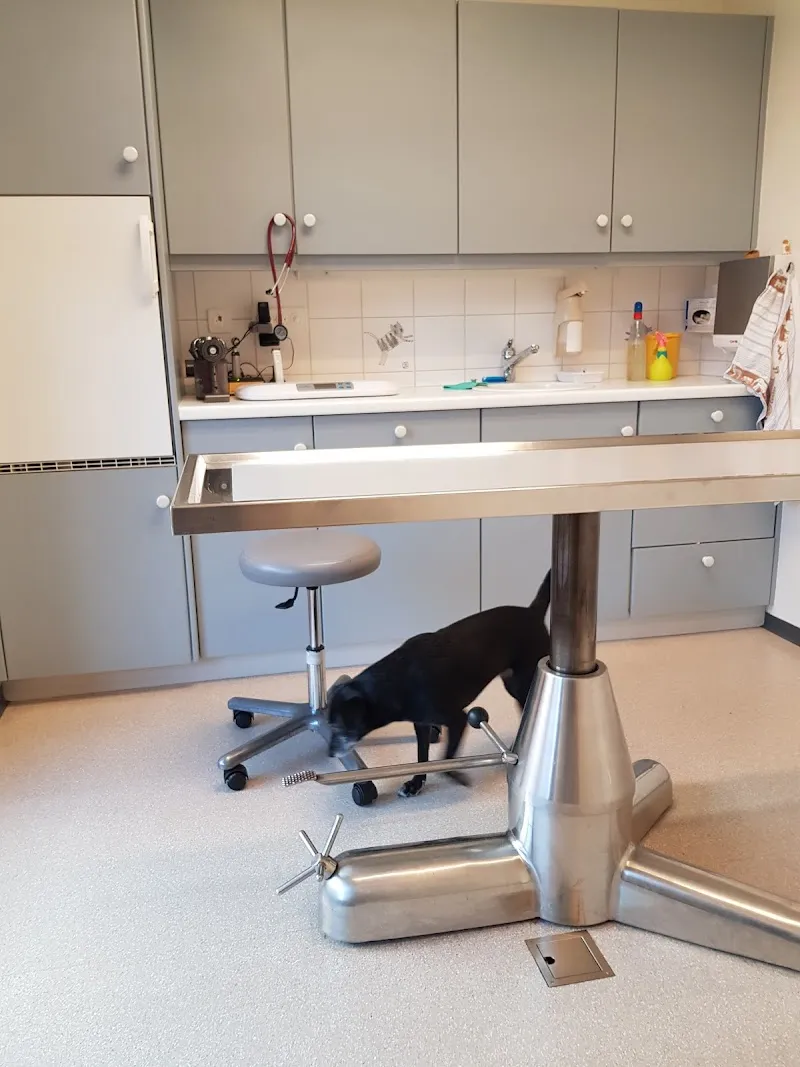 Dubath Marie-Laurence — Tierarzt in Paudex, Waadt. Bewertung 4.8/5.