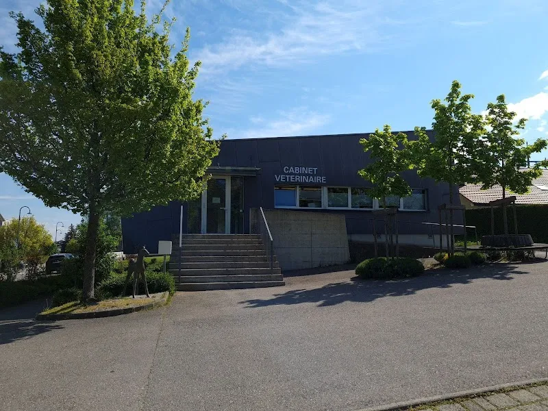 EVC Estavayer - Urgences vétérinaires — Tierarzt in Estavayer-le-Lac, Freiburg. Bewertung 4.3/5.