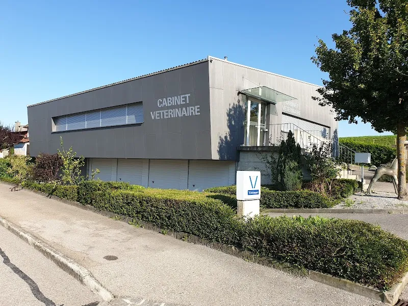 Estavet Sàrl — Veterinarian, Estavayer-le-Lac, Fribourg. Foto 2