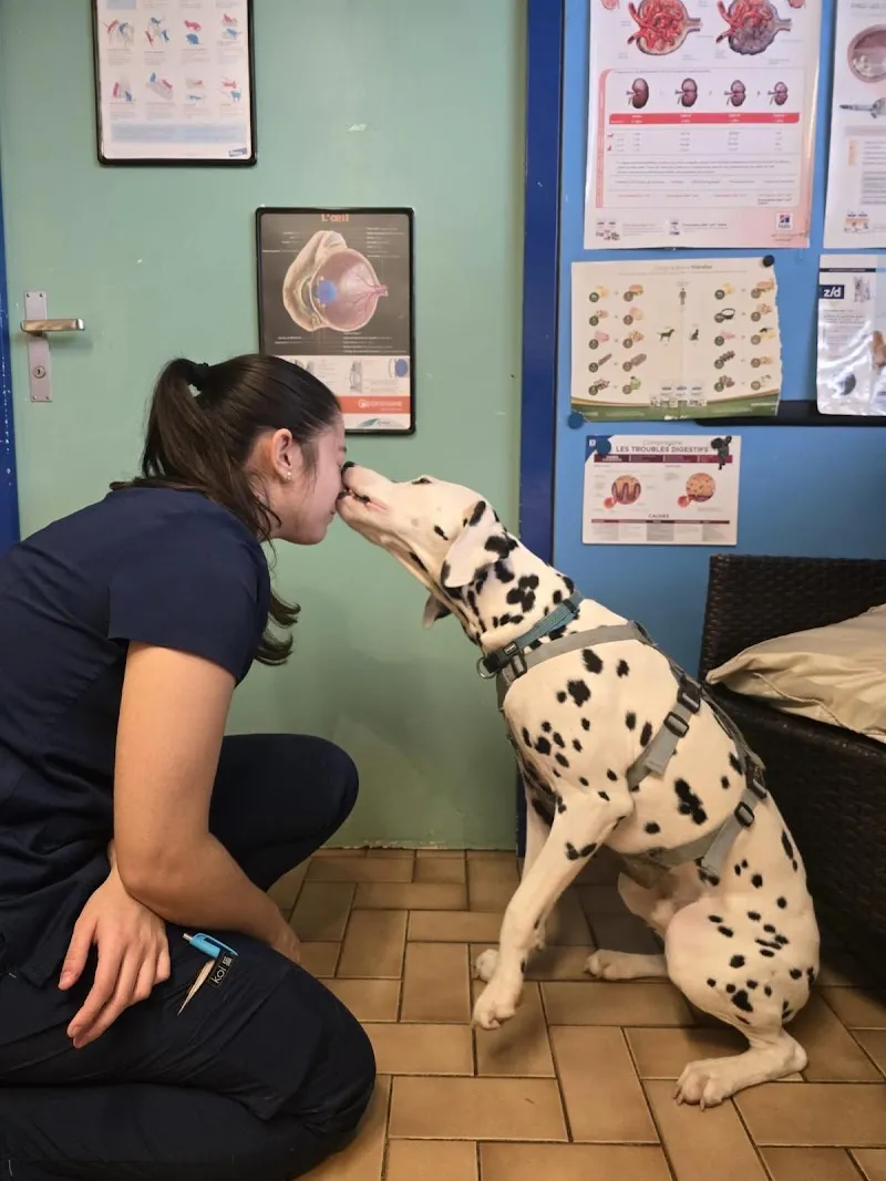 Grancy Vétérinaire Lausanne — Vétérinaire, Lausanne, Vaud. Foto 2