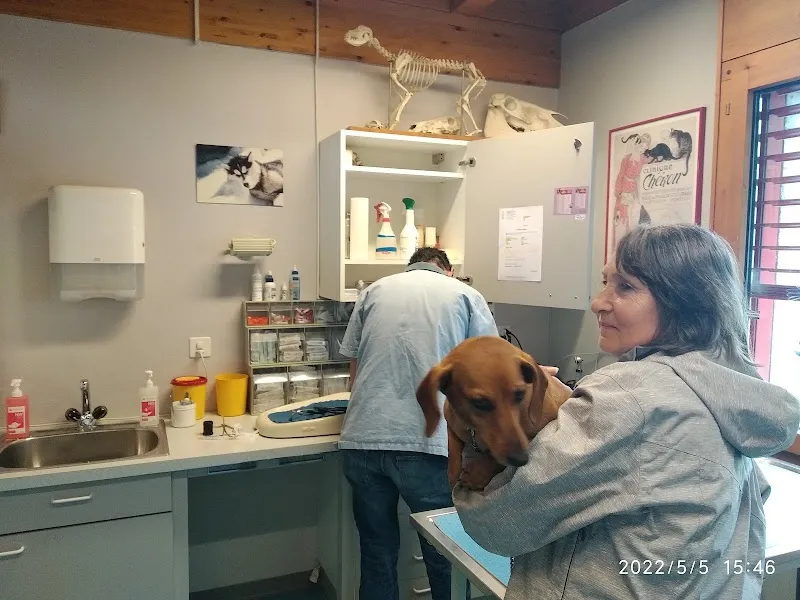 Groupe vétérinaire des Ducats Sàrl — Tierarzt, Orbe, Waadt. Foto 3