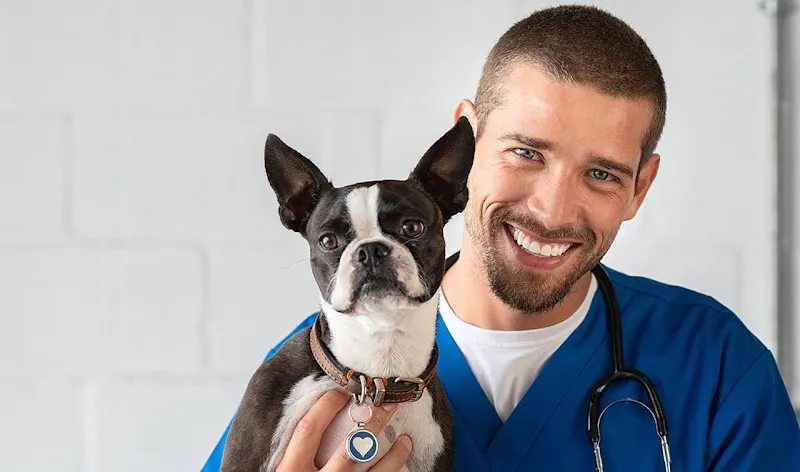 Maison des Urgences Vétérinaires Nord Lausanne — Tierarzt in Epalinges, Waadt. Bewertung 4.9/5.