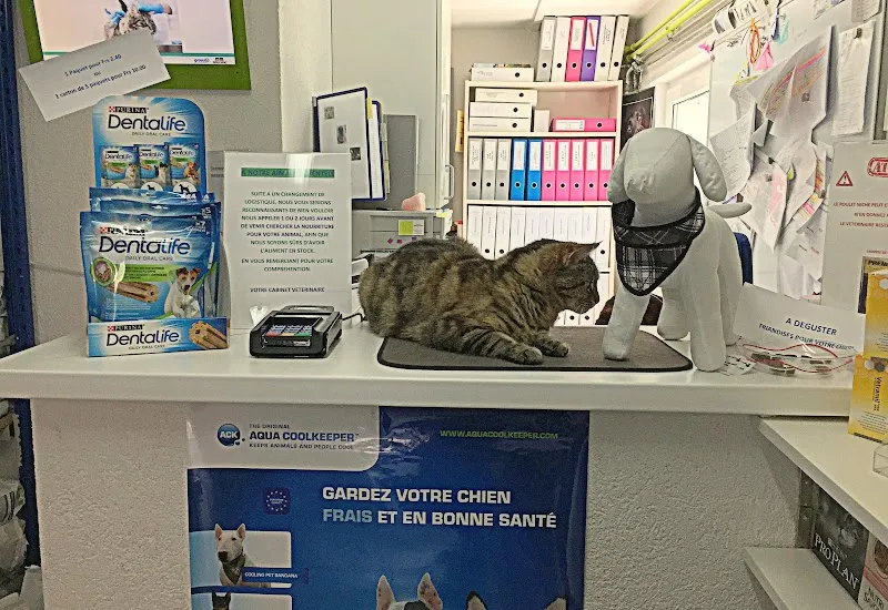 Mont-Vet — Veterinarian, Le Mont-sur-Lausanne, Vaud. Foto 2