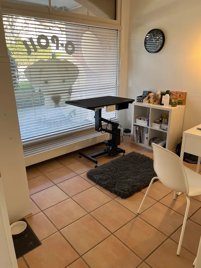 Muriel Grauer — Service animalier, Pully, Vaud. Foto 3