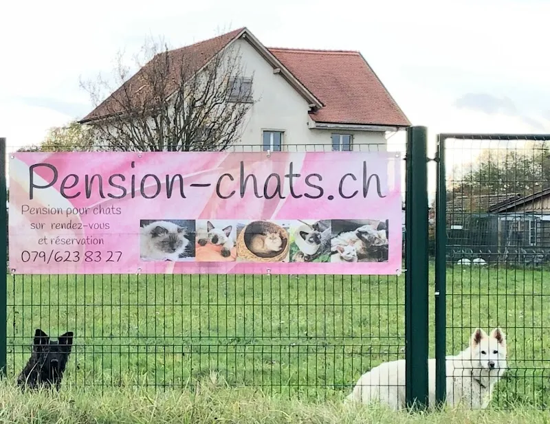 Pension pour Chats, Elevage de Tonkinois, Chatterie Cémafaune — Katzenpension in Lully, Freiburg. Bewertung 4.6/5.