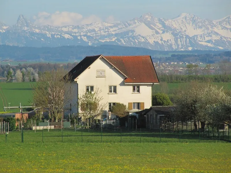 Pension pour Chats, Elevage de Tonkinois, Chatterie Cémafaune — Pensione per gatti, Lully, Friburgo. Foto 3