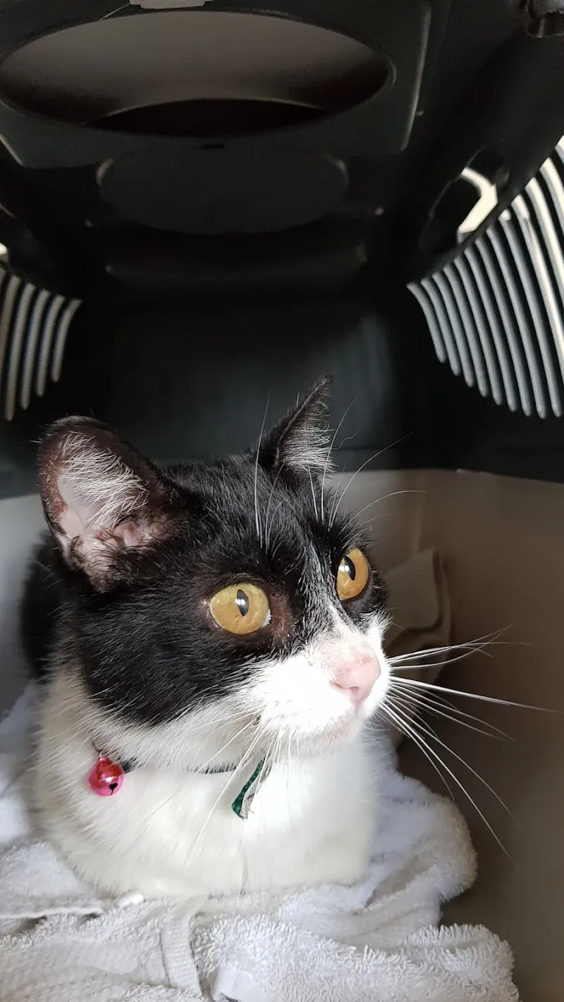 Palmieri Joseph — Vétérinaire, Gland, Vaud. Foto 2