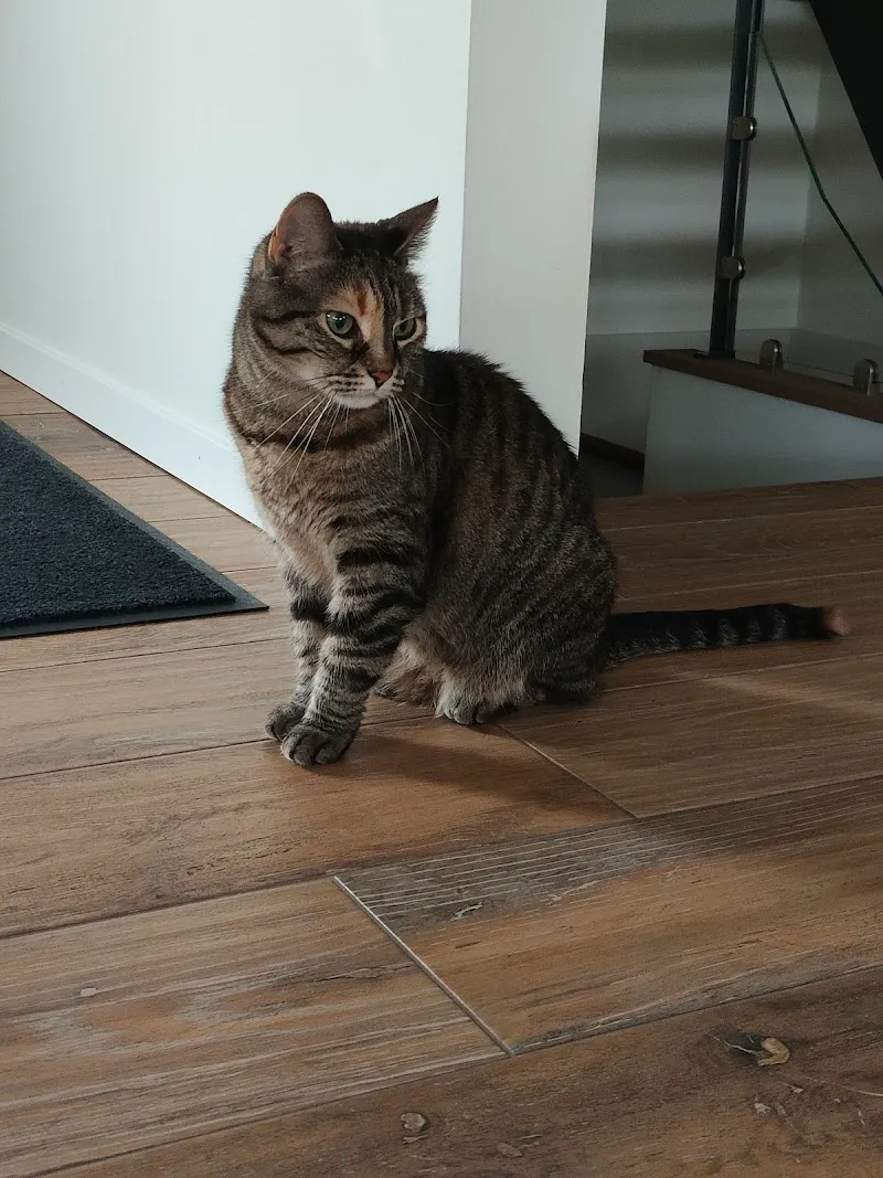 Palmieri Joseph — Vétérinaire, Gland, Vaud. Foto 3