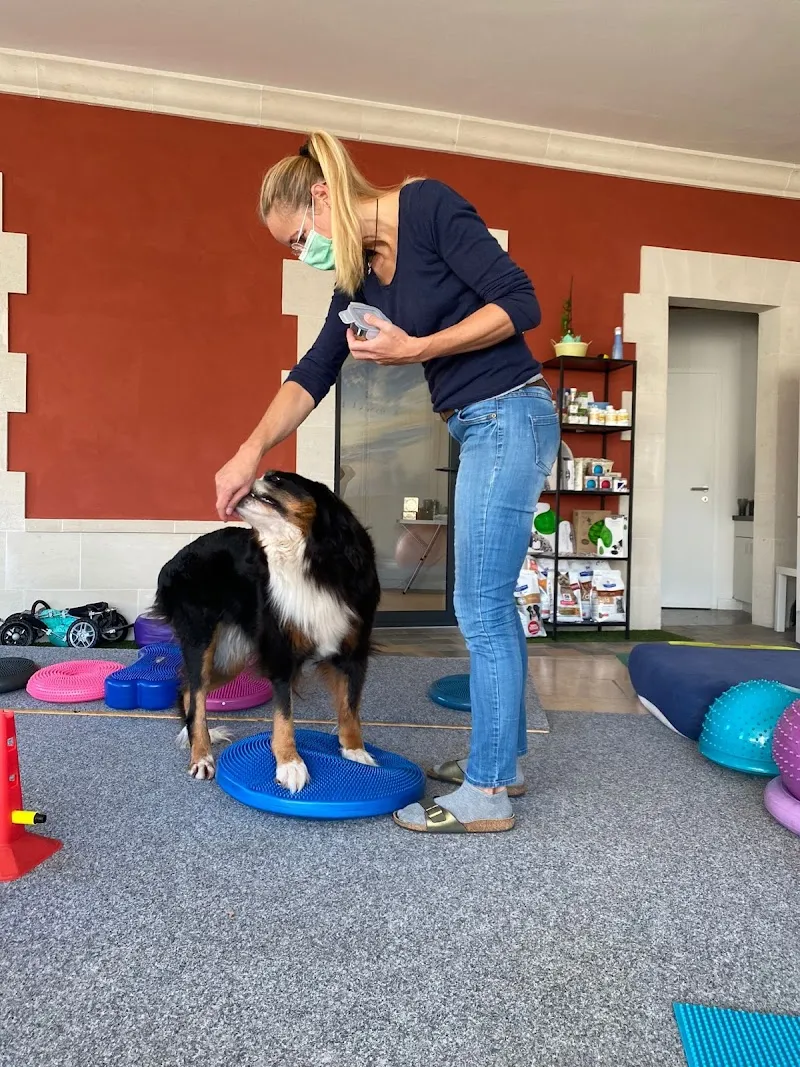 Physiovet Vaud Sarl — Service animalier, Saint-Sulpice, Vaud. Foto 2