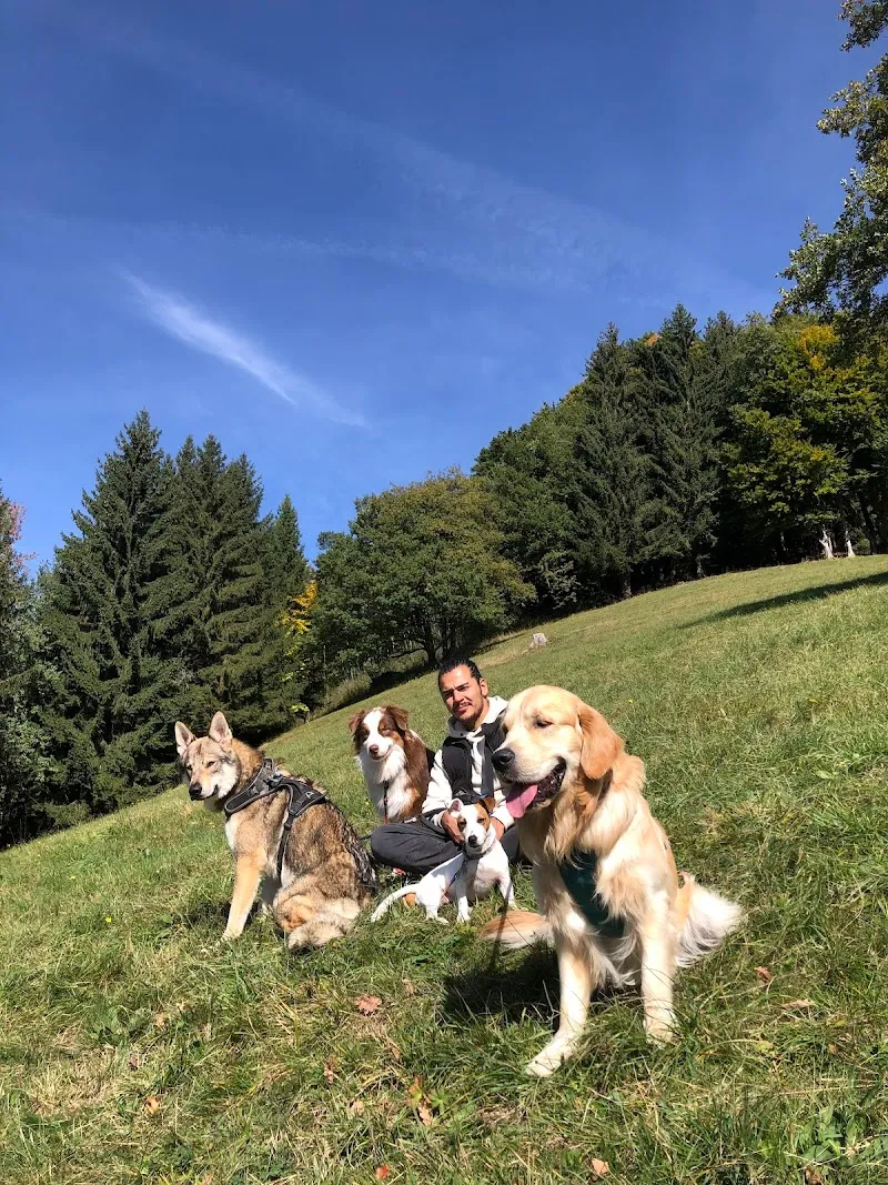 Promenades de chiens - Animal's KeeperZ — Tierdienste in Montreux, Waadt. Bewertung 5.0/5.