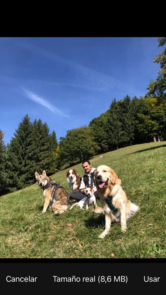 Promenades de chiens - Animal's KeeperZ — Servizio per animali, Montreux, Vaud. Foto 2