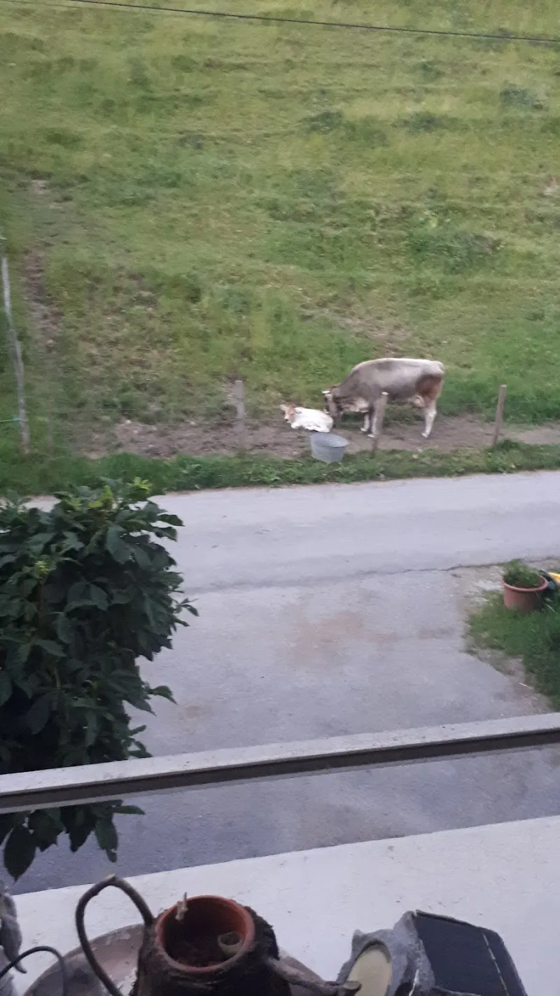 Roberto Ré — Tierarzt, Ollon, Waadt. Foto 2