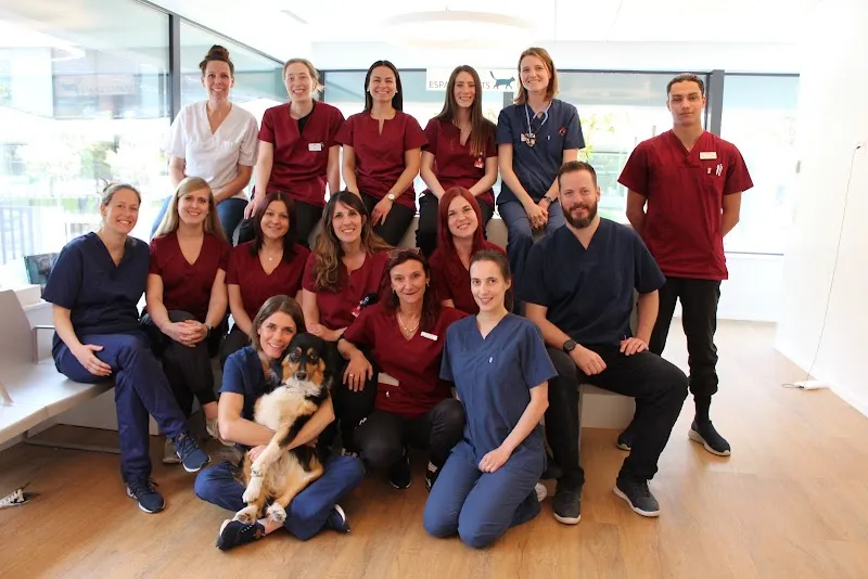 VET.AVENIR - Cabinet vétérinaire — Tierarzt in Eysins, Waadt. Bewertung 4.9/5.