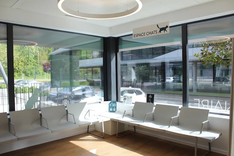 VET.AVENIR - Cabinet vétérinaire — Tierarzt, Eysins, Waadt. Foto 2
