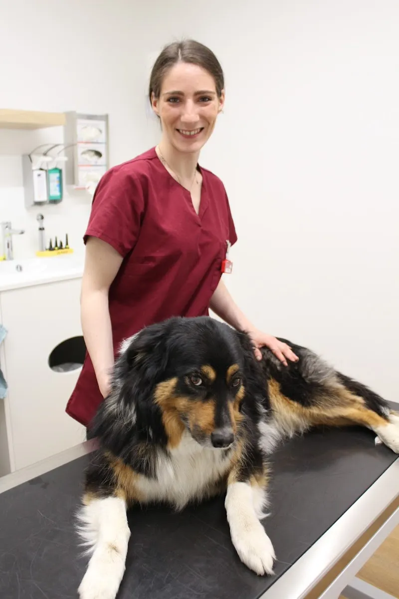 VET.AVENIR - Cabinet vétérinaire — Tierarzt, Eysins, Waadt. Foto 3