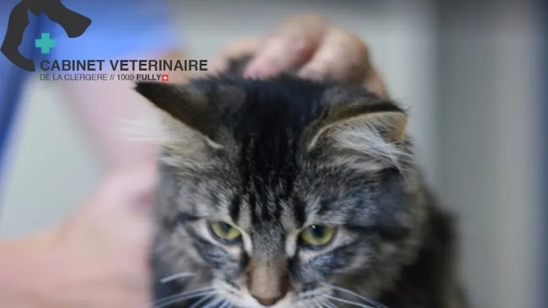 VETERINAIRES PULLY // Place de la Clergère PULLY — Tierarzt in Pully, Waadt. Bewertung 4.8/5.