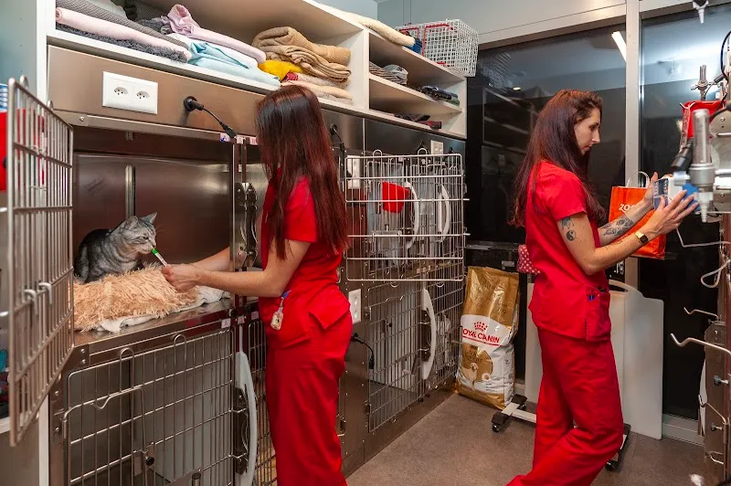 VETLUTRY - Cabinet vétérinaire — Tierarzt, Lutry, Waadt. Foto 3