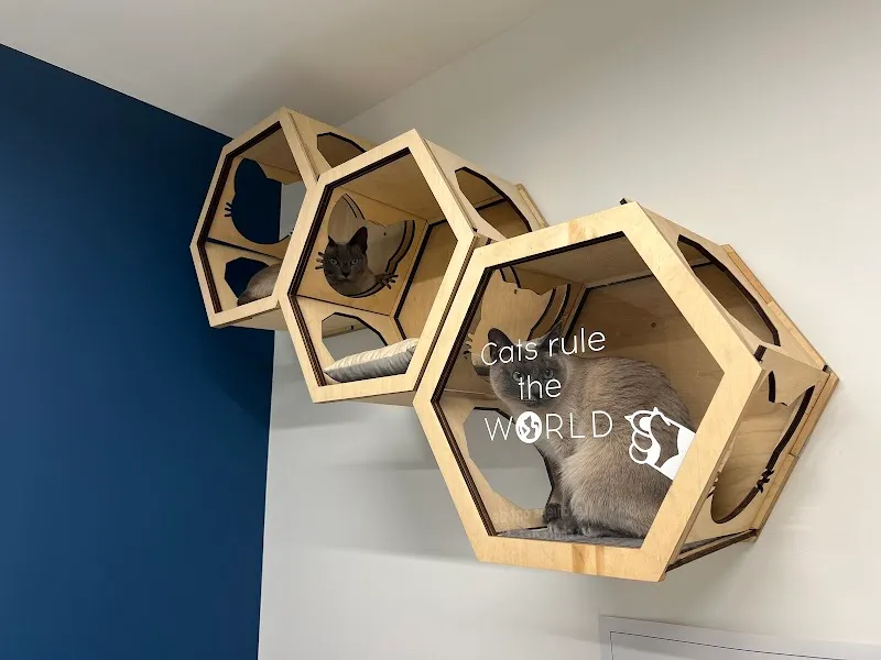 VETLÉMAN - Centre Vétérinaire — Vétérinaire, Crissier, Vaud. Foto 3