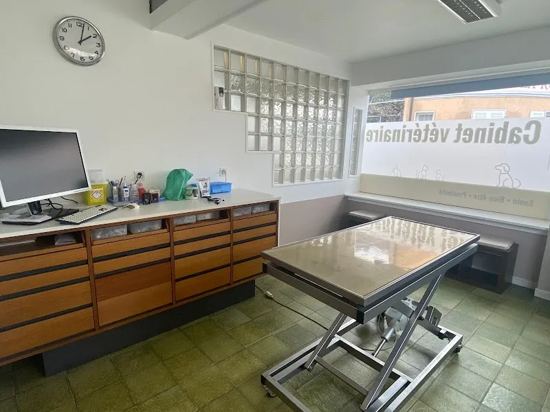 VETMIDI St Prex - Cabinet vétérinaire — Veterinario, Saint-Prex, Vaud. Foto 2