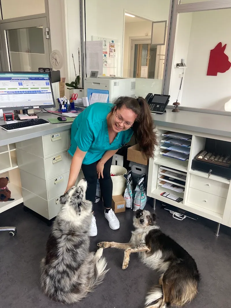 Vet Kibo Sàrl - Pully — Tierarzt, Pully, Waadt. Foto 2