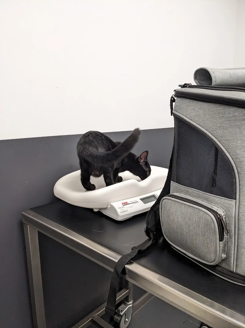 VetPhalen Sàrl — Tierarzt in Vevey, Waadt. Bewertung 5.0/5.