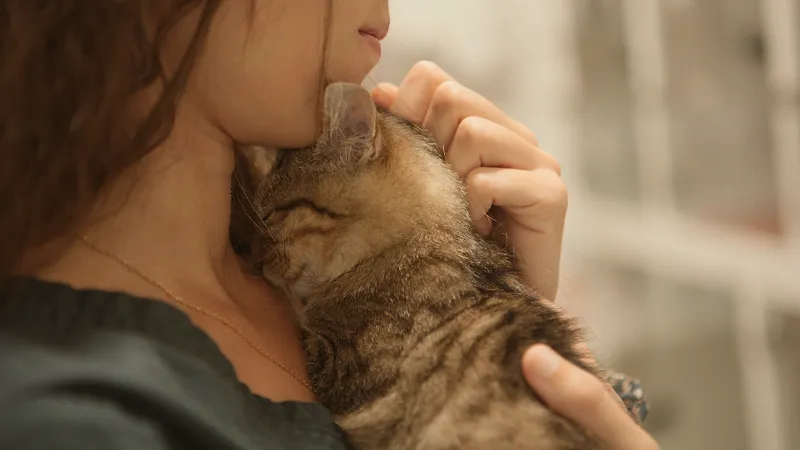 VetUrgences — Veterinarian, Le Grand-Saconnex, Geneva. Foto 3