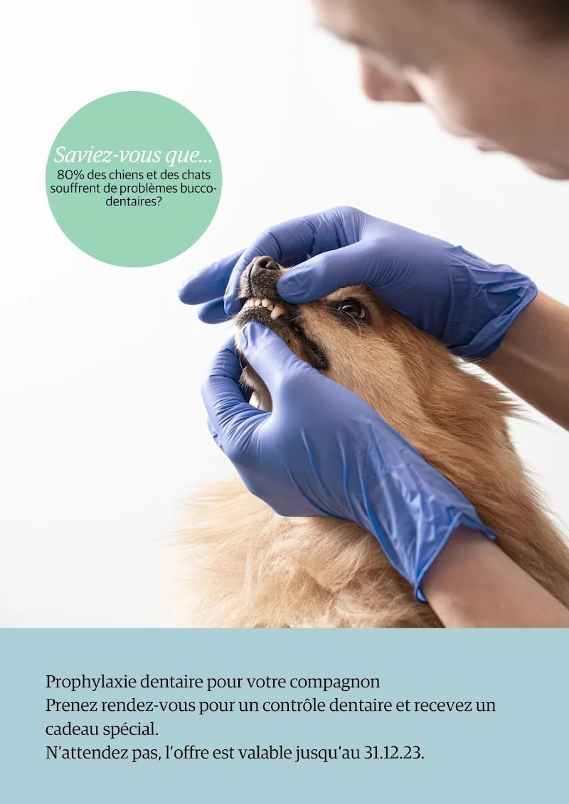 Vetconcept SA — Vétérinaire, Lausanne, Vaud. Foto 3