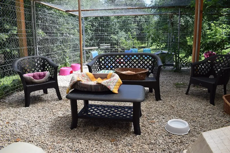 Pension pour chats : Les Aristos — Katzenpension in Valeyres-sous-Rances, Waadt. Bewertung 4.8/5.