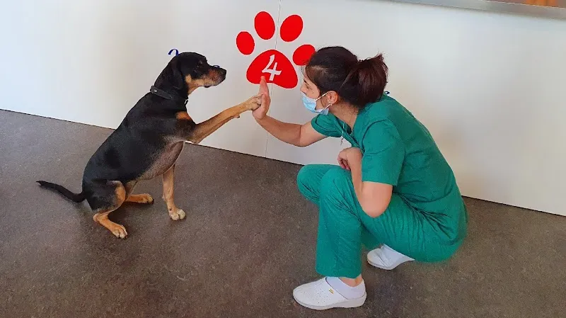 Vets 4 Life Sàrl — Tierarzt in Renens, Waadt. Bewertung 4.9/5.