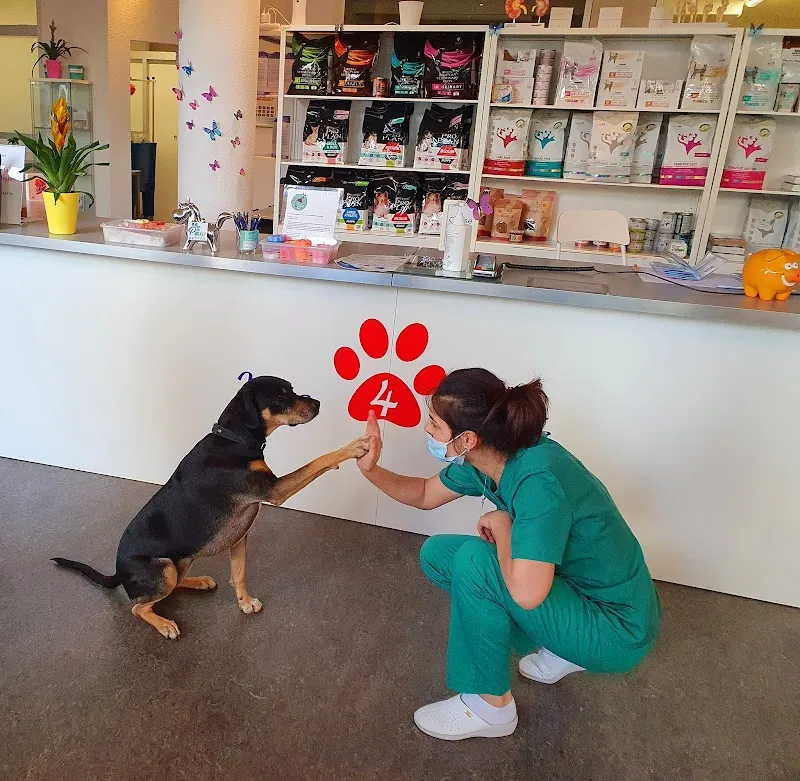 Vets 4 Life Sàrl — Vétérinaire, Renens, Vaud. Foto 3
