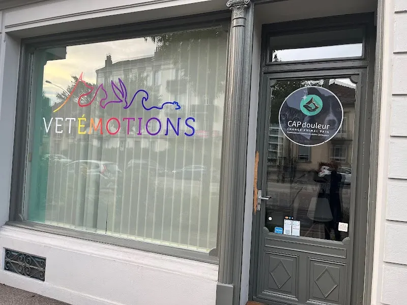 VetÉmotions — Tierarzt, Yverdon-les-Bains, Waadt. Foto 3