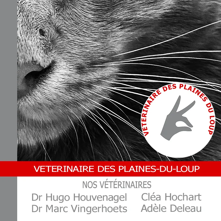 Vétérinaire des Plaines-du-Loup — Tierarzt in Lausanne, Waadt. Bewertung 4.6/5.