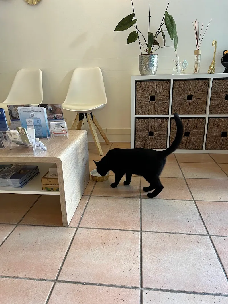 Vétérinaire par nature — Service animalier, Pully, Vaud. Foto 2