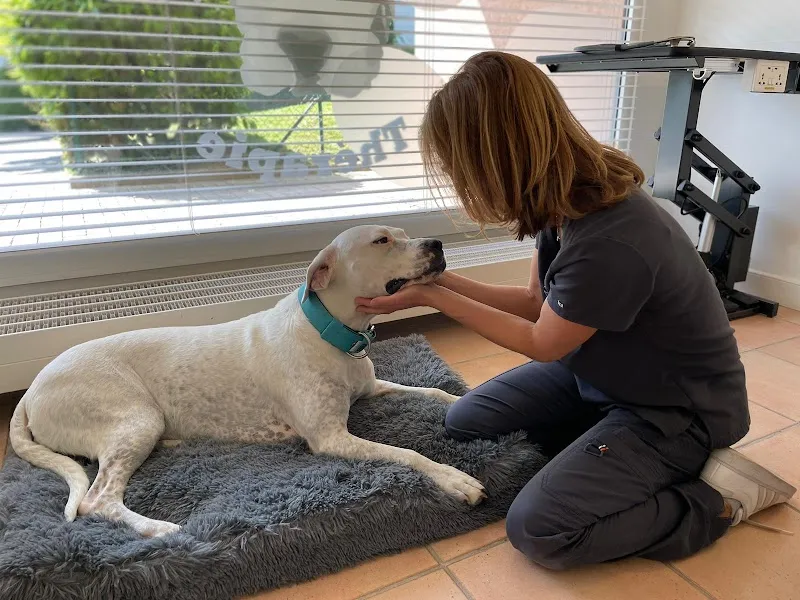 Vétérinaire par nature — Service animalier, Pully, Vaud. Foto 3