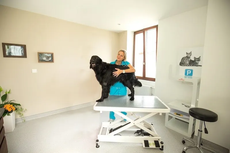 ZeVet - Cabinet vétérinaire — Vétérinaire, Commugny, Vaud. Foto 2