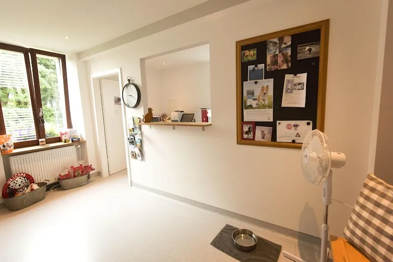 ZeVet - Cabinet vétérinaire — Vétérinaire, Commugny, Vaud. Foto 3