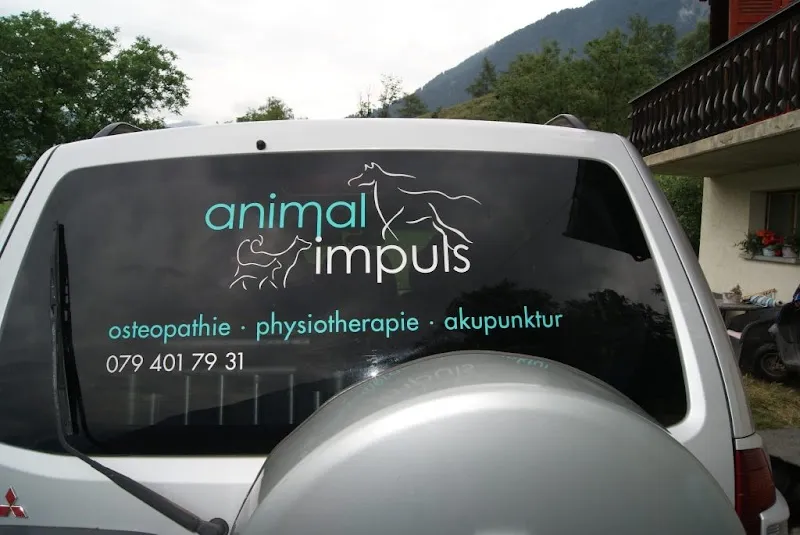 Animal Impuls – Osteopathie für Tiere — Tierdienste in Naters, Wallis. Bewertung 5.0/5.