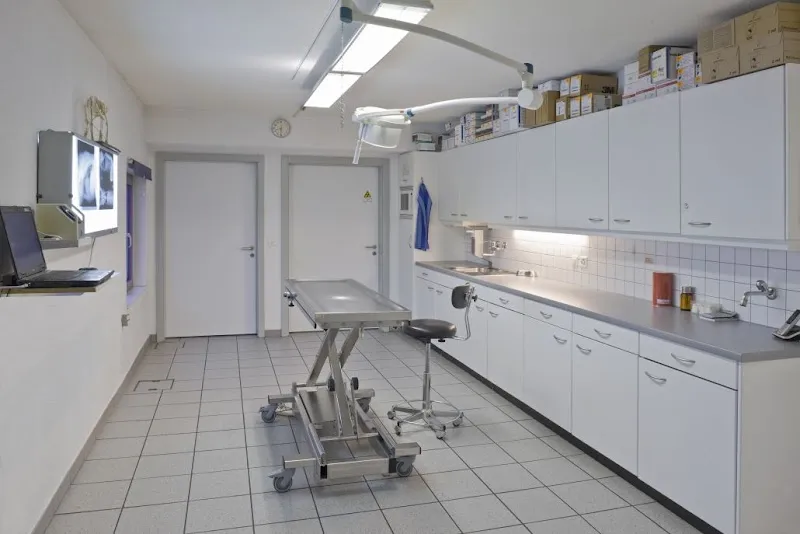 Animal Kleintierpraxis — Tierarzt in Visp, Wallis. Bewertung 4.7/5.