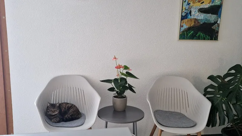 ArtemiVet- Cabinet Vétérinaire — Tierarzt in Chalais, Wallis. Bewertung 5.0/5.